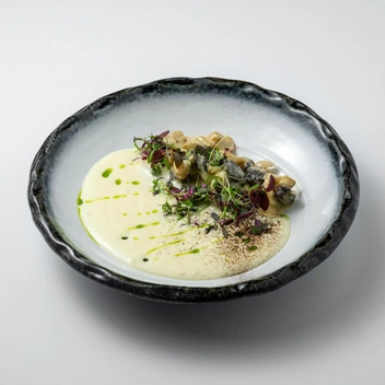 Рагу из черноморского рапана  | Источник: baranrapan.ru