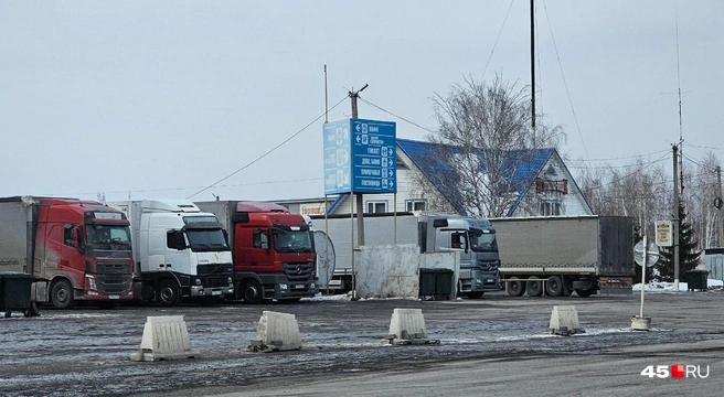В Курганской области трассы полностью приведут в порядок, когда на улице станет тепло | Источник: Дарья Никитченко / 45.RU