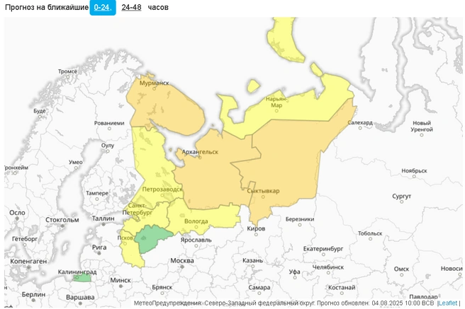 скриншот с сайта Гидрометцентра России | Источник: meteoinfo.ru