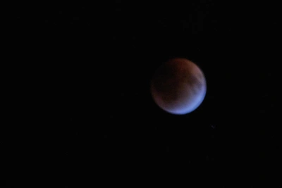 В «Роскосмосе» верят в существование инопланетной жизни