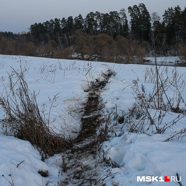 Место, где, вероятно, нашли тело мальчика | Источник: Артем Устюжанин / MSK1.RU