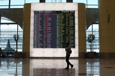 В аэропортах Домодедово и Жуковский ввели ограничения