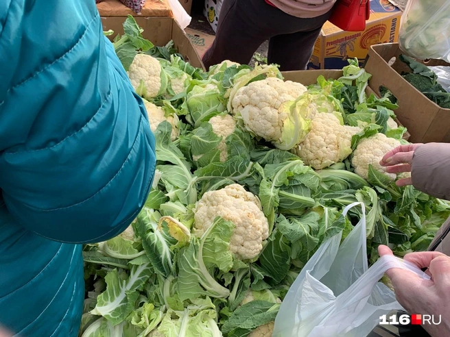 А вот и цветная капуста, которую нещадно общипывали пенсионерки | Источник: Ильгиз Шарифзянов / 116.RU
