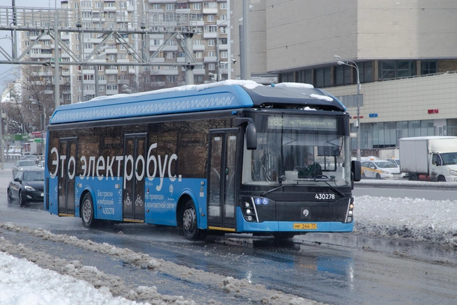 В городе заработает 5 остановок общественного транспорта на 7 маршрутах | Источник: Дмитрий Толстошеев