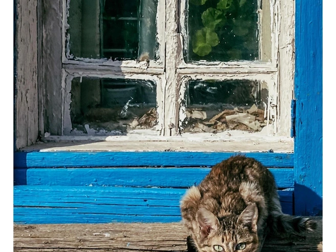 Источник: Юлия Воропаева