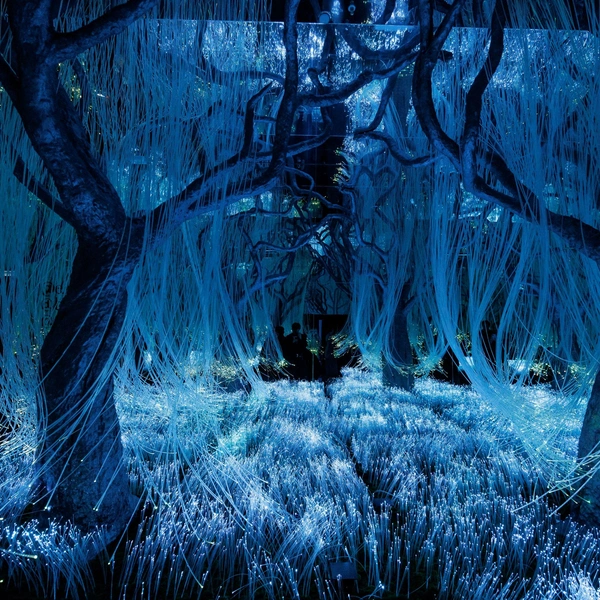 Источник: пресс-служба Futurione