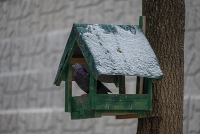 Прогноз погоды в Приморье: на неделю ожидаются резкие изменения