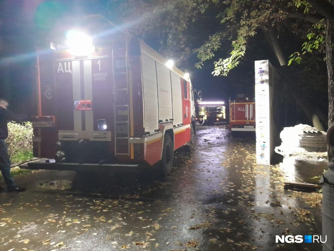 Источник: Екатерина Евстафьева / NGS.RU