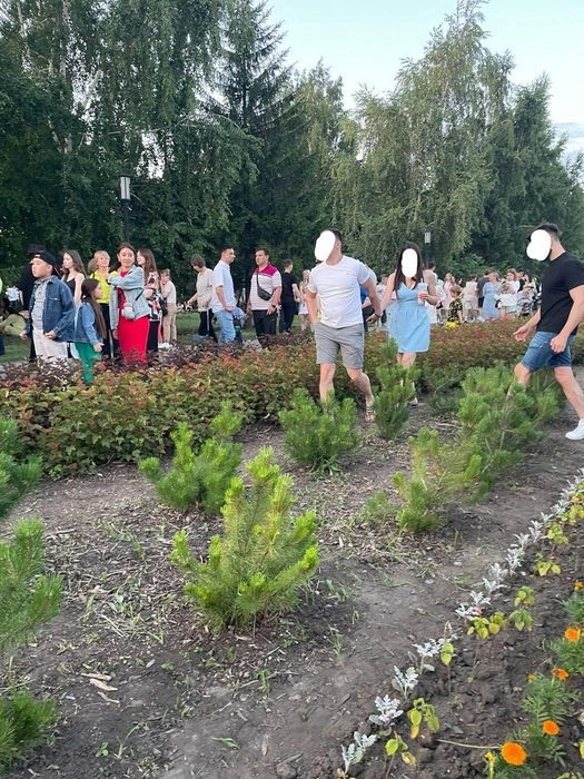 Люди перешагивали через цветы  | Источник: «ЧП Омск» / t.me 