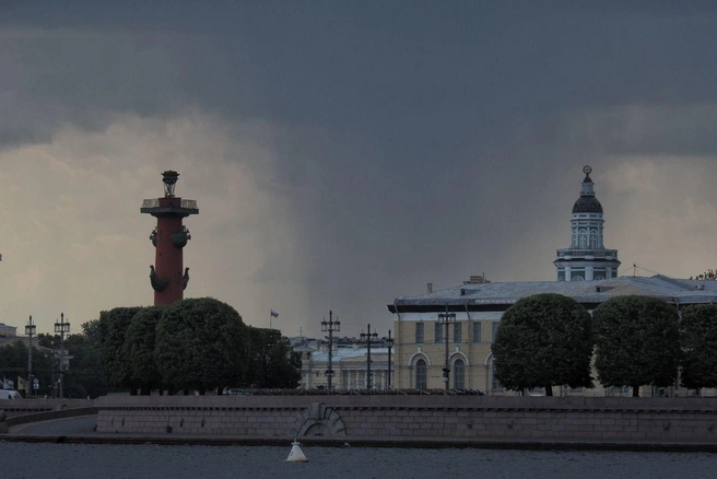 Петербуржцев предупредили о «не самой хорошей погоде» в длинные выходные | Источник: Михаил Огнев / «Фонтанка.ру»