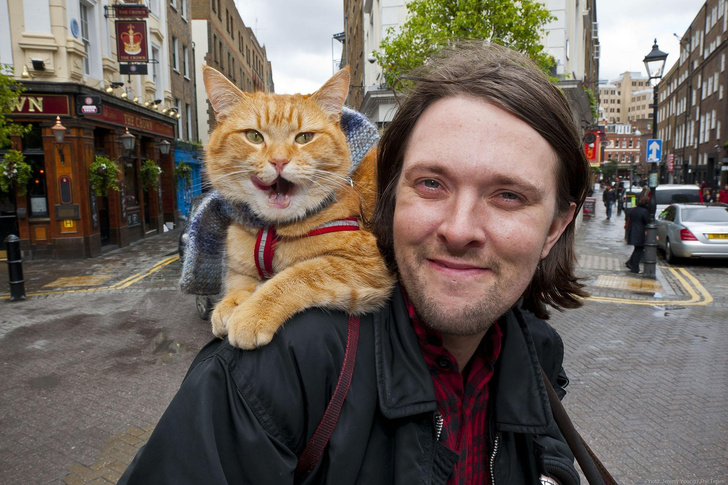 «Я снова оказался на улице»: как сложилась жизнь Джеймса Боуэна, хозяина кота по имени Боб