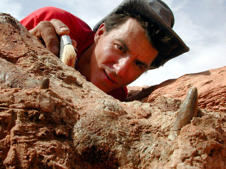 Пылесос мелового периода: как палеонтологи открыли и описали динозавра, у которого было больше 500 зубов