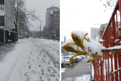 Апрельский снегопад в Перми: улицы и листья под снегом
