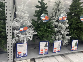 Елки высотой 1,2 метра | Источник: Дарья Гранкина / 26.RU