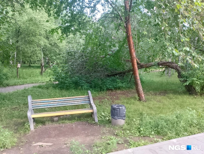 В сквере еще встречаются старые лавочки | Источник: Рихарда Лем / NGS.RU