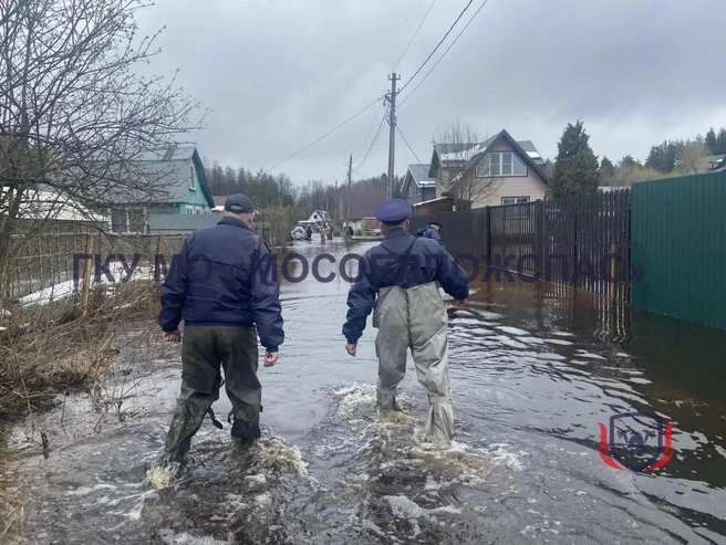 СНТ топит каждый год | Источник: ГКУ МО «Мособлпожспас» / T.me