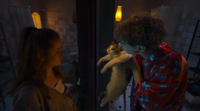 Что таит в себе загадочное зеркало | Источник: Скриншот трейлера фильма «Сводишь с ума»