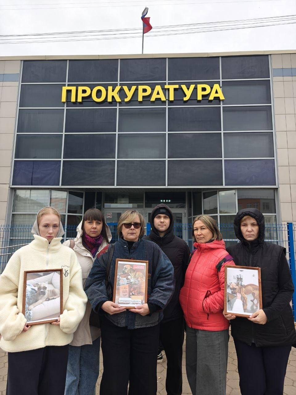 Под Екатеринбургом на молодую мать, которая заморила собаку до смерти, завели уголовное дело