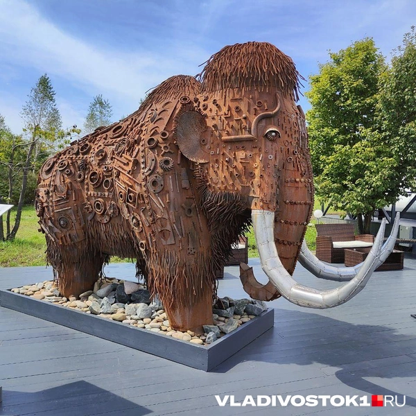 Источник: Татьяна Акишина / VLADIVOSTOK1.RU