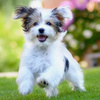 userpic__Ксения 3