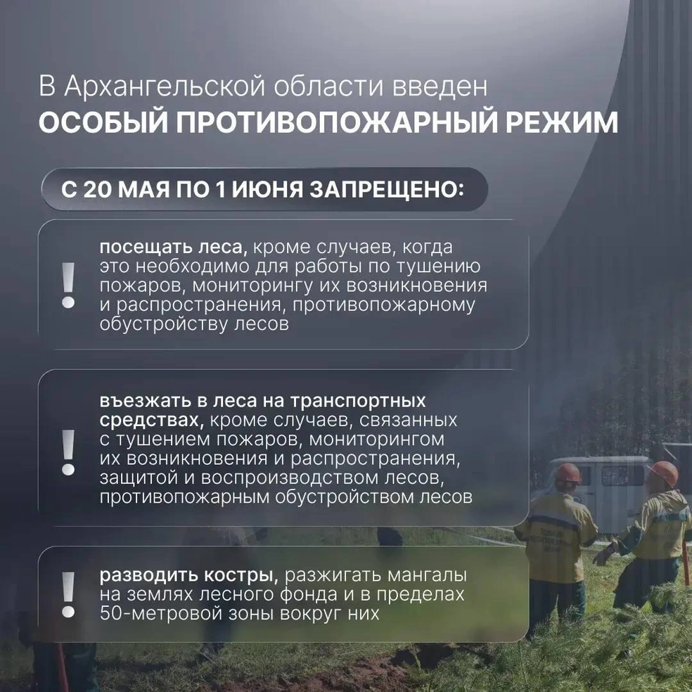 Источник: Александр Цыбульский / T.me