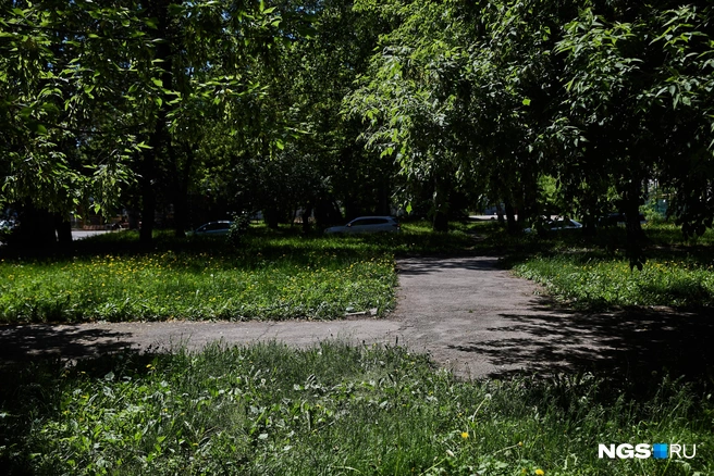 Асфальтированные дорожки сквер явно не украшают | Источник: Александр Ощепков / NGS.RU