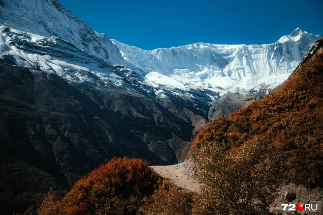 Источник: Екатерина Бурко