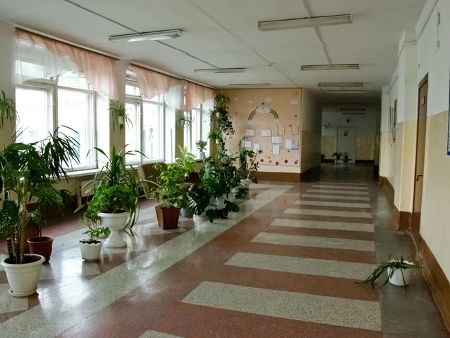 Зарплаты директоров школ теперь раскрываются лишь в особых случаях | Источник: Анна Золотова / NGS.RU