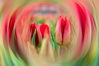 Красноярки назвали худшие подарки на 8 Марта