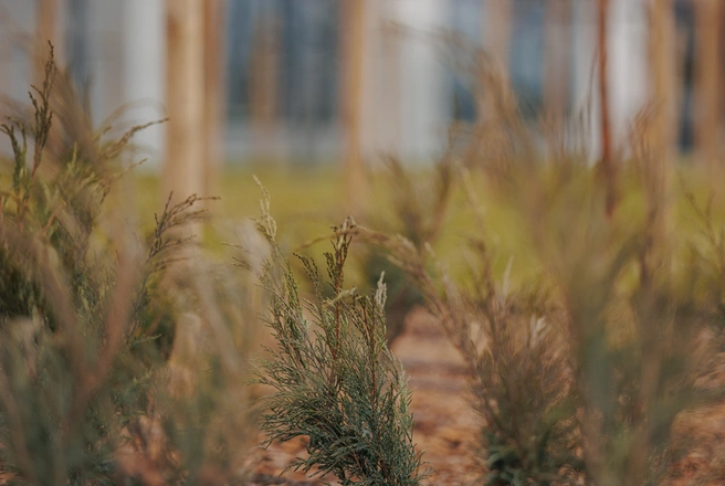 Источник: ООО&nbsp;«СЗ Мидгард Рус»