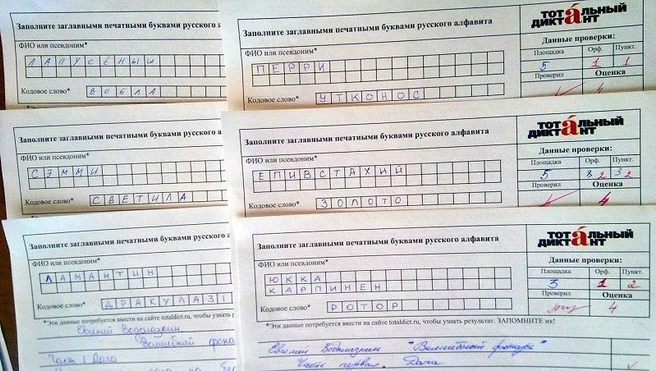 Источник: Picasa
