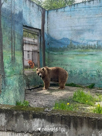 Источник: Хижняк Ксения