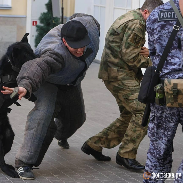 Источник: Валентин Егоршин / «Фонтанка.ру»
