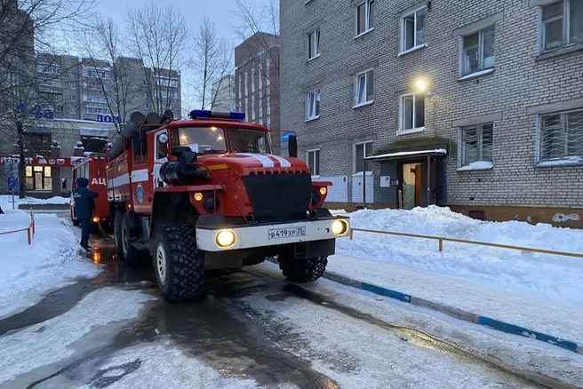 Источник: st.cherinfo.ru