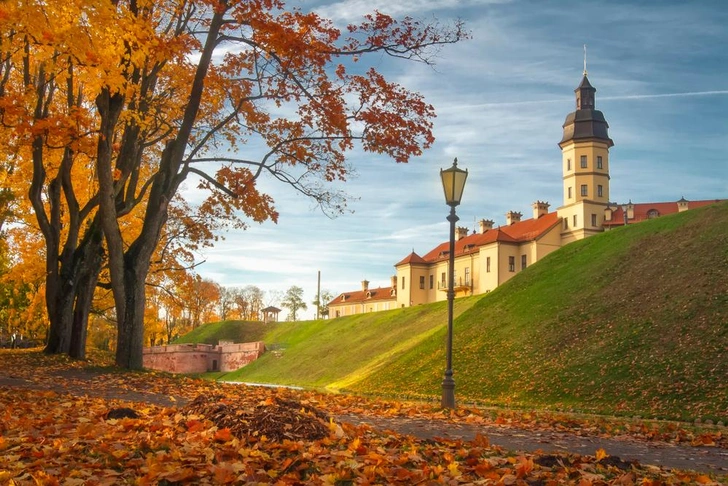 Источник: Dzmitrock/Shutterstock/Fotodom.ru