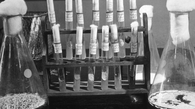 Часть лекарств делали прямо в аптеках | Источник: Областной аптечный склад