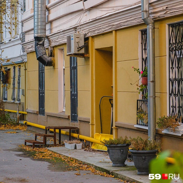 Вот они&nbsp;— попытки разбавить каменные джунгли | Источник: Тимофей Калмаков / 59.RU