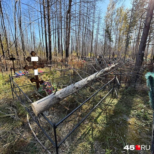 Источник: Кирилл Митин