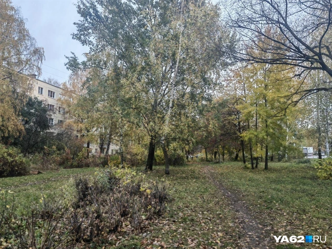 Так выглядит аллея Жириновского | Источник: Кристина Мельникова / YA62.RU