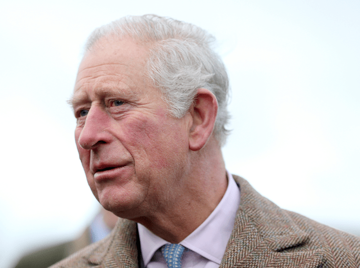 Фото №1 - «Он не должен быть королем»: почему британцы не хотят, чтобы принц Чарльз взошел на престол