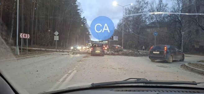 Источник: «Сообщество Академгородка» / Телеграм