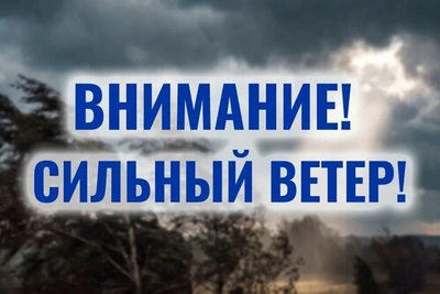 Тамбовчан предупреждают о сильном ветре 16 июля