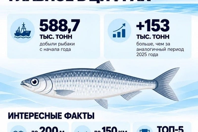Дальневосточные рыбаки приближаются к рекорду по сельди