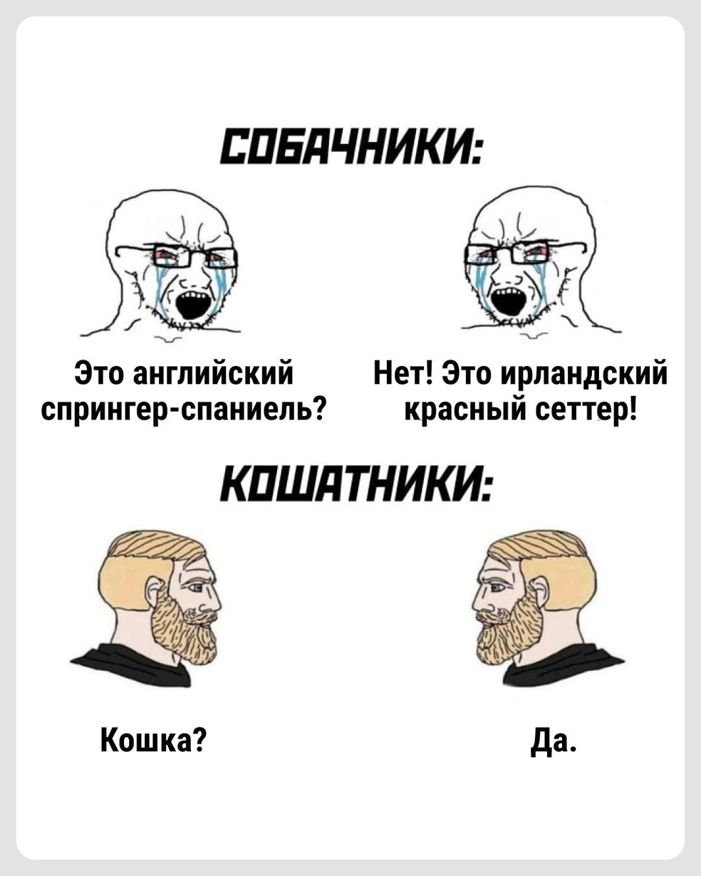 Но это неточно | Источник: Городские медиа