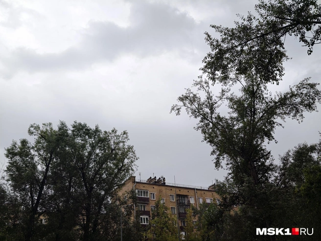 Источник: Михаил Контуев / MSK1.RU