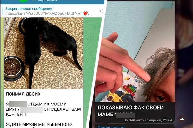Семью с тяжелым ребенком терроризируют из-за живодерских видео | Источник: читатели MSK1.RU