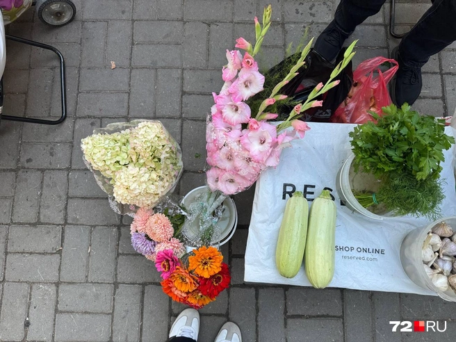 Цветы здесь найдете на любой вкус  | Источник: Анастасия Малышкина / 72.RU 