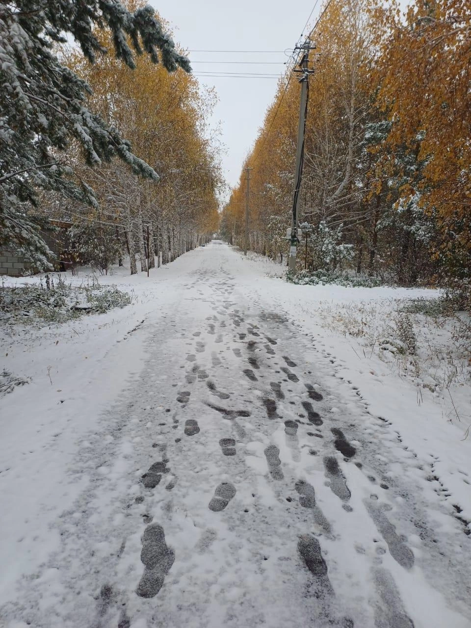 Зимняя сказка, не иначе. СНТ «Березовая роща» в Агаповском районе. Как думаете, растает до зимы? | Источник: snt_bereza / vk.com
