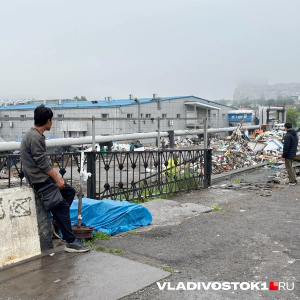 Источник: Елена Буйвол / VLADIVOSTOK1.RU