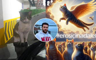 «Мы не хотим жить рядом с живодером!»: Турция кипит от возмущения после убийства кота Эроса